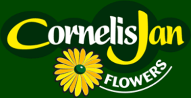 CJ Flowers